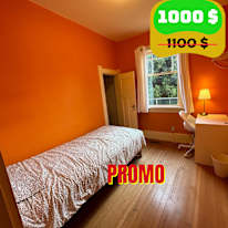 Photo of Shirin's room