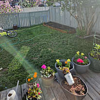 Jolene Peters's room