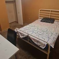 Photo of Shobaky's room
