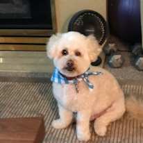 Photo of Barron McConnachie's room