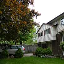 Photo of steven lu's room