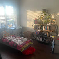 Photo of Mario's room