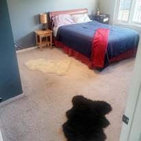 Photo of Jay's room