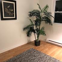 Photo of Stephanie's room