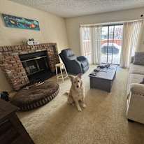 Photo of Nyron's room