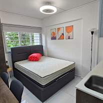 Photo of Dino's room