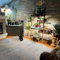 Photo of Tiffany's room