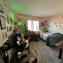 Photo of Frankie's room