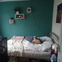 Photo of Izzy's room
