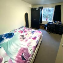 Photo of Indy's room