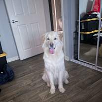 Photo of CJ's room