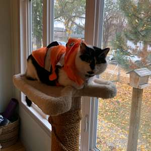 Photo of Chloe