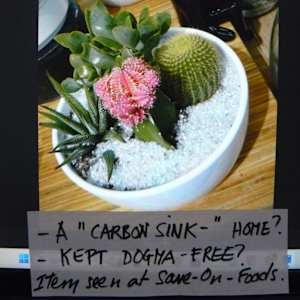 Miss Renee K. Taylor-BA-French