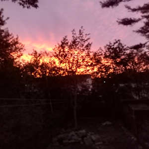 Photo of Tanya Chaisson