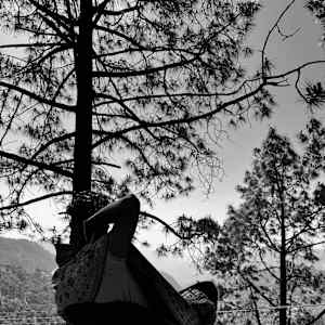 Photo of Harsh kumar