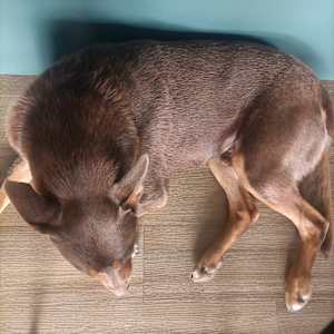 Photo of Julie