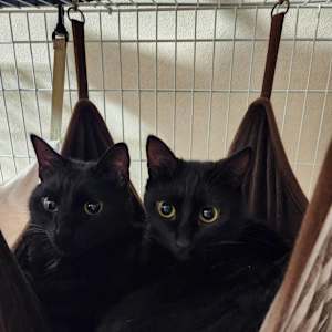 Photo of Aguri Hayashi