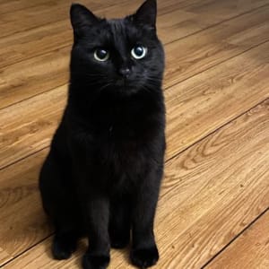 Photo of Mimi
