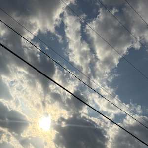 Photo of Swarali Bhide