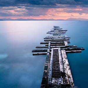 Lisa Ann Conflitti-Raposo