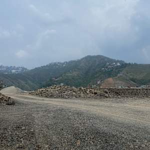 Photo of Chandan