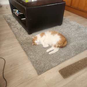 Photo of Andrea BARNES