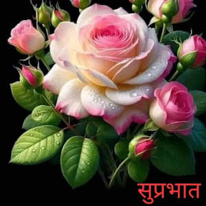 Photo of R MADHU