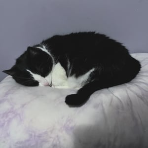 Photo of Bre
