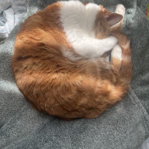 Photo of Yuk