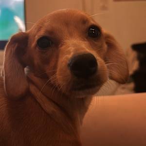 Photo of Delna