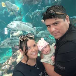 Alberto Esteban López castillo