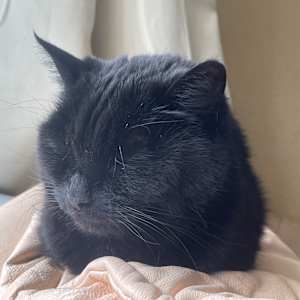Photo of Bobby