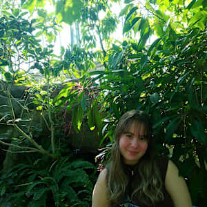 Photo of Ivy