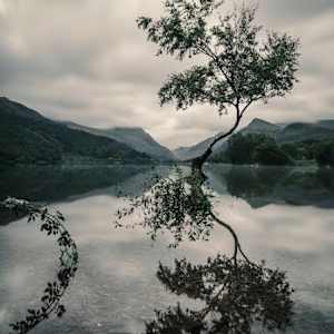 Photo of Lovepreet Kaur