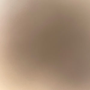 Photo of Komal Sidhu