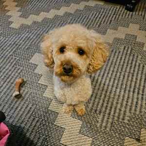 Photo of Marie Scott