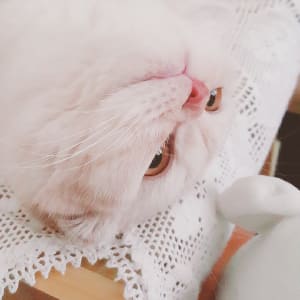 Photo of Dahye