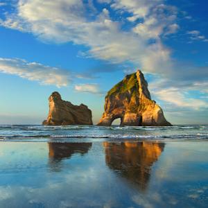 Photo of Debra Williams