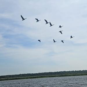 Photo of Ladj