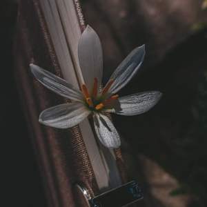 Photo of sukhmandeep kaur