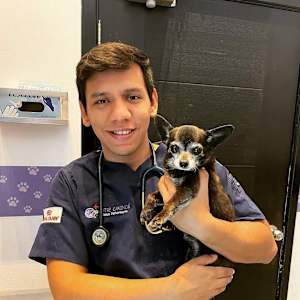 Daniel Andres Dender