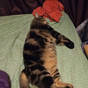 Photo of Lisa