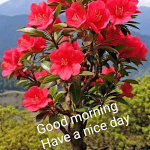 Photo of suraj mishra