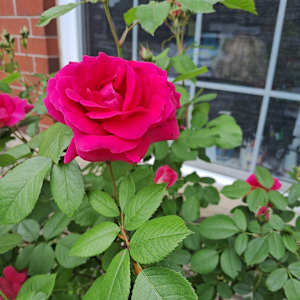 Photo of Gurpreet Kaur