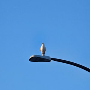 Photo of kkh