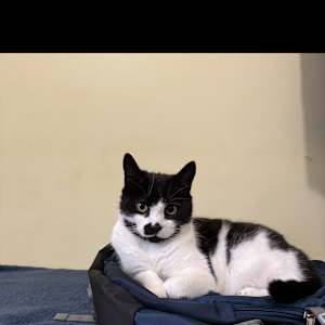 ABINAYA SENTHILKUMAR