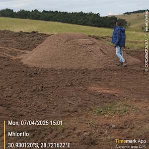 Photo of Thabo Measure Mkhonto