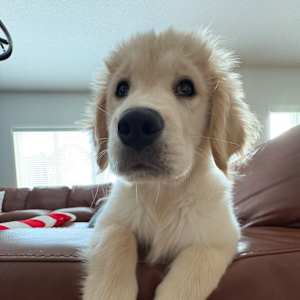 Photo of Felipe Javier