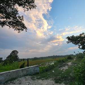 Photo of Bishal