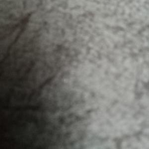 Photo of Kumar